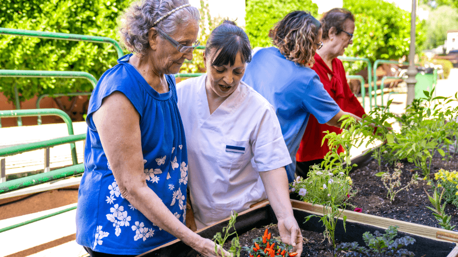 A group of older adults and caregivers gardening together in a raised garden bed, harvesting vegetables and enjoying outdoor activity in a sunny, green environment.